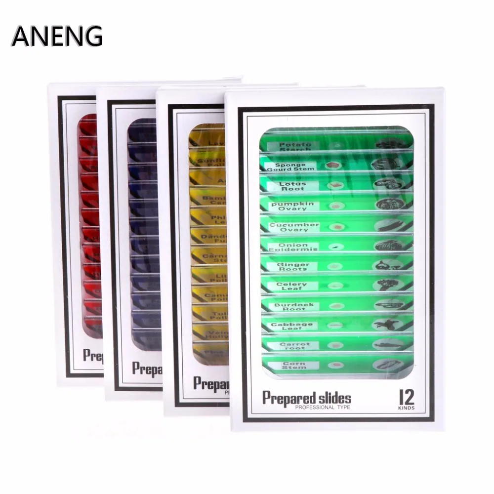

ANENG 12 Pcs Prepared Microscope Slides Set Specimen For Student Basic Biology Education