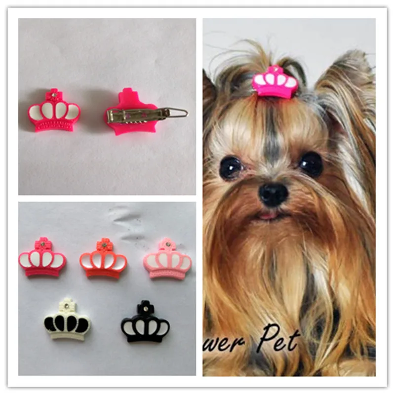 diy dog accessories
