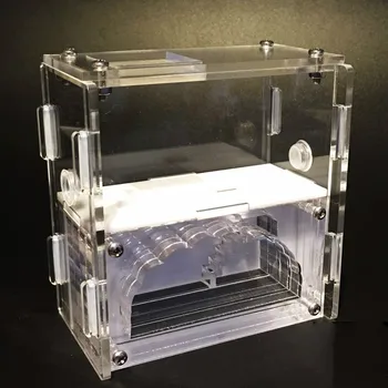 

1PCS Empire S Acrylic Version of Acrylic Ant Nest