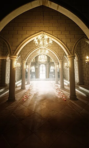 

New Arrival Background Fundo Lighting Glittering 300Cm*200Cm(About 10Ft*6.5Ft) Width Backgrounds Lk 2696