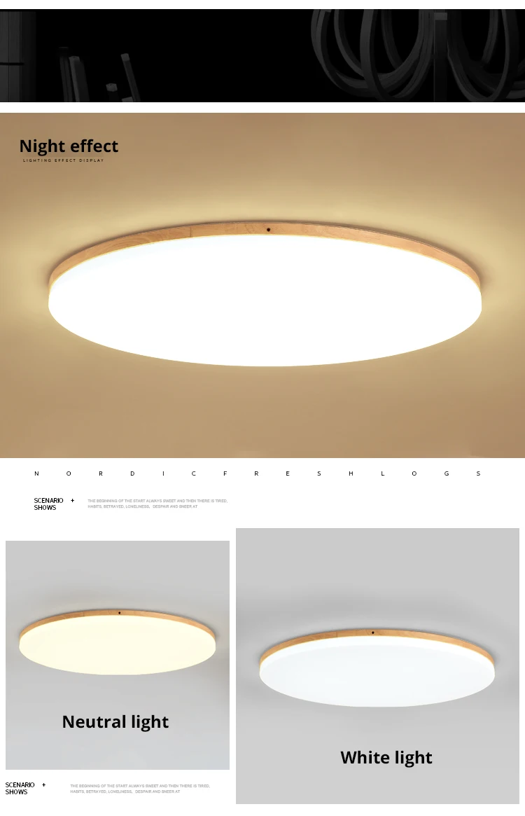led ceiling light (10)