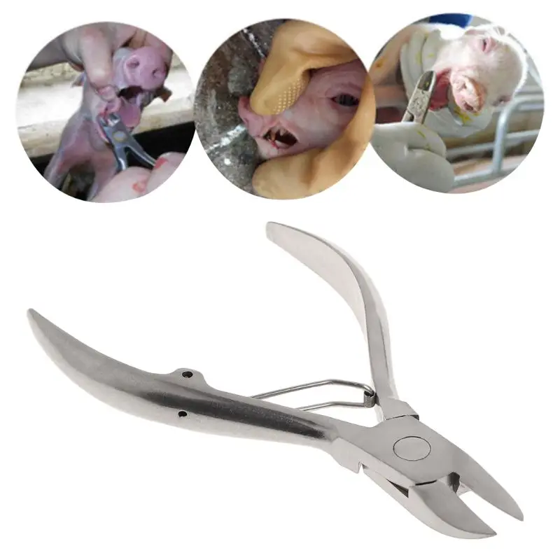 

3.94inch Tooth Cutting Plier Stainless Steel Scissors Elbow Sharpener Pidgets Clamp Breedign Equipment For Farm Livestock