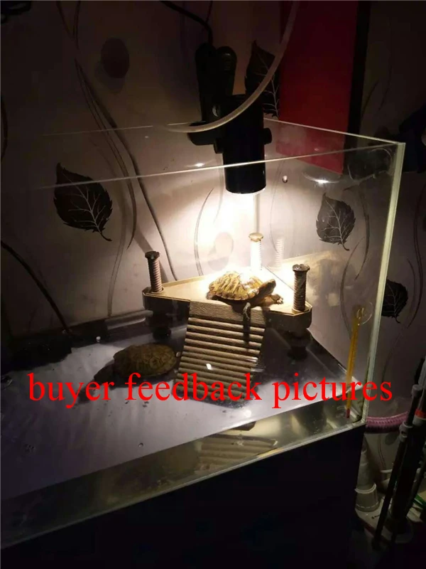 HTB1erqdXv1TBuNjy0Fjq6yjyXXa6