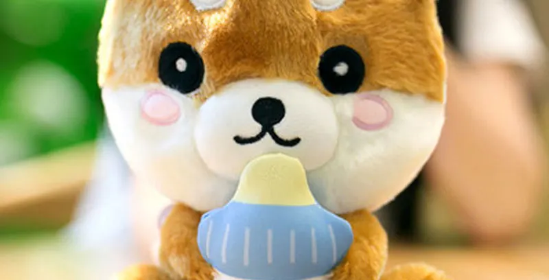 Plush Toys (6)