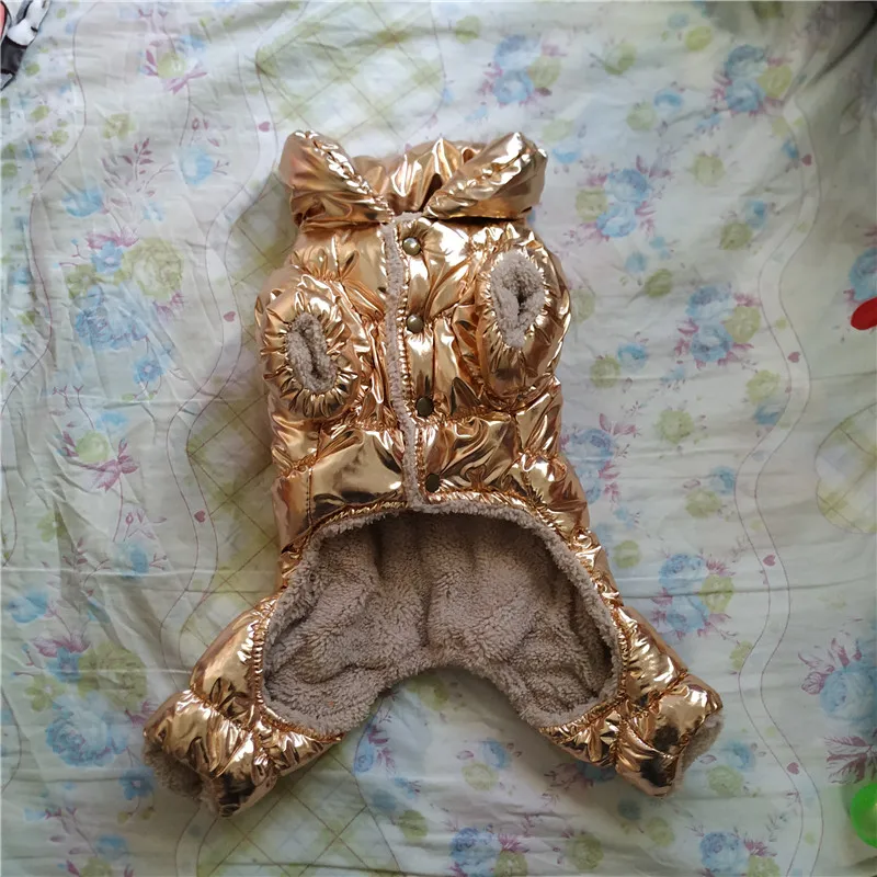 IMG_20181210_135529