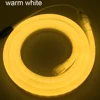 1M-100M 12V LED Neon Strip Light with DC Plug BSOD 2835 120leds/m White Red Green Blue Rope Waterproof EI Wire Tube Sign lamp ► Photo 2/6
