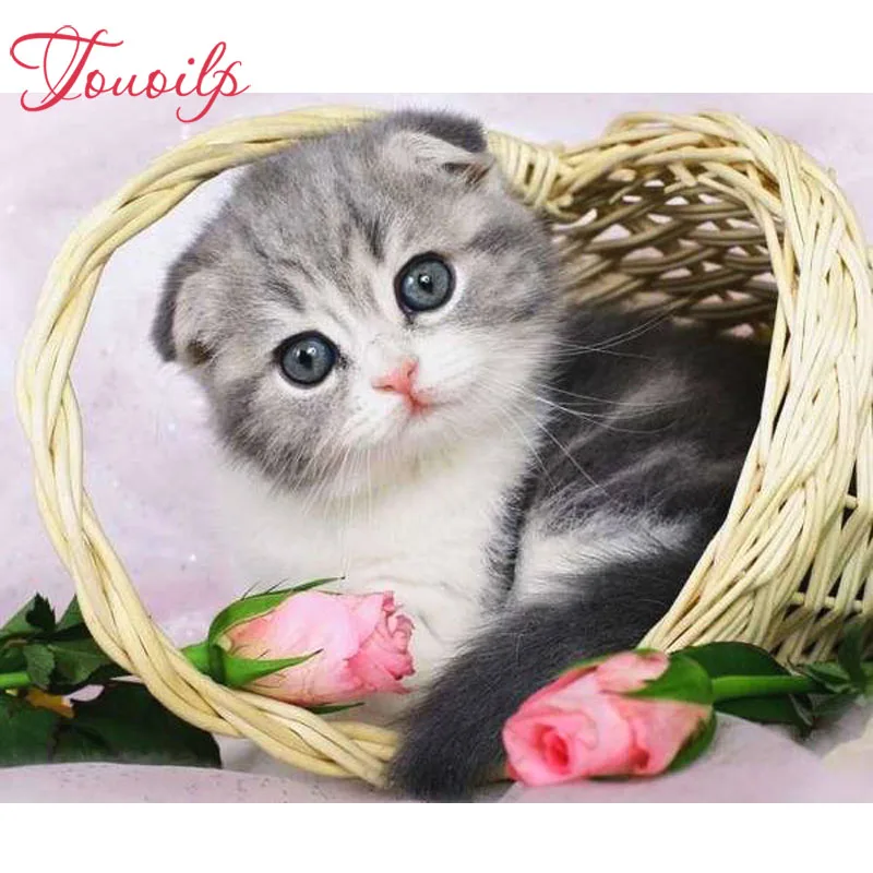 Алмазная 5d Вышивка TOUOILP сделай сам кот Роза алмазная живопись полная мозаика