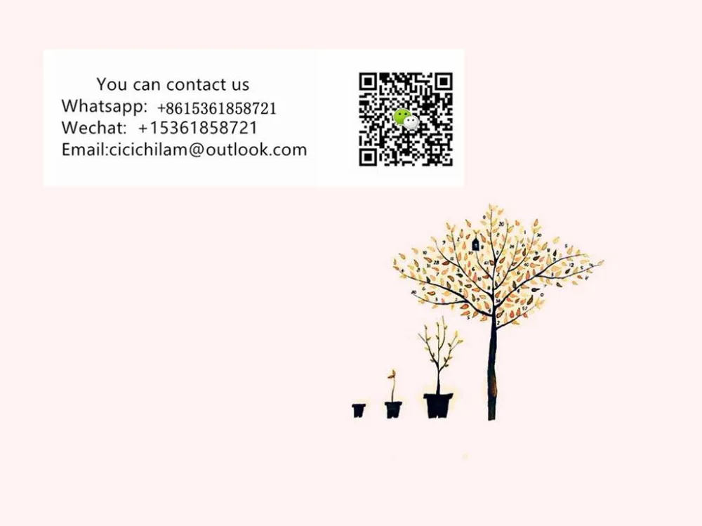 NeoImage__