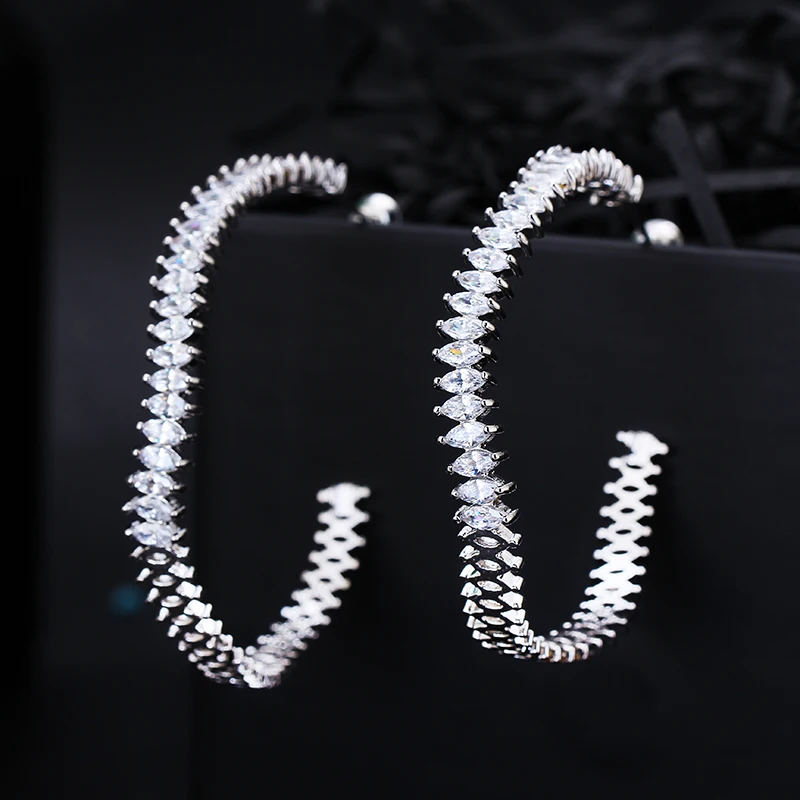 

Punk Fashion Centipedes Animal Shape Hoop Earrings AAA Cubic Zircon Branch Luxury Jewelry for Women XIUMEIYIZU 2019 New