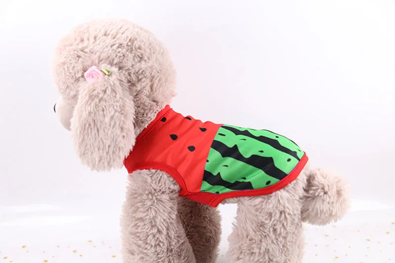 Одежда для собак мультяшная шлейка для щенка с принтом краба арбуза, дышащая полиэфирная сетка, футболка для маленькой собаки, жилет на лето и весну