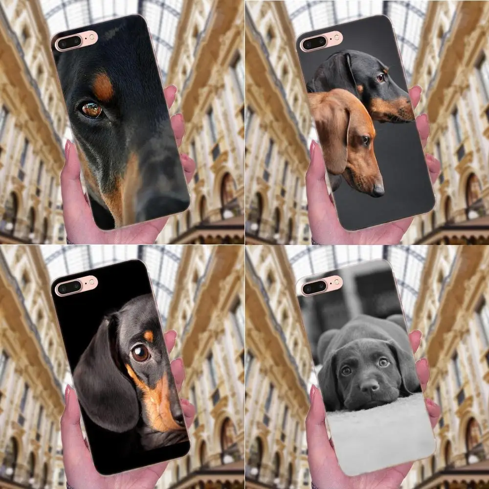 Такса силуэт собака брокколи аксессуары для телефона чехол Apple iPhone X XS Max XR 4 4S 5 5C 5S