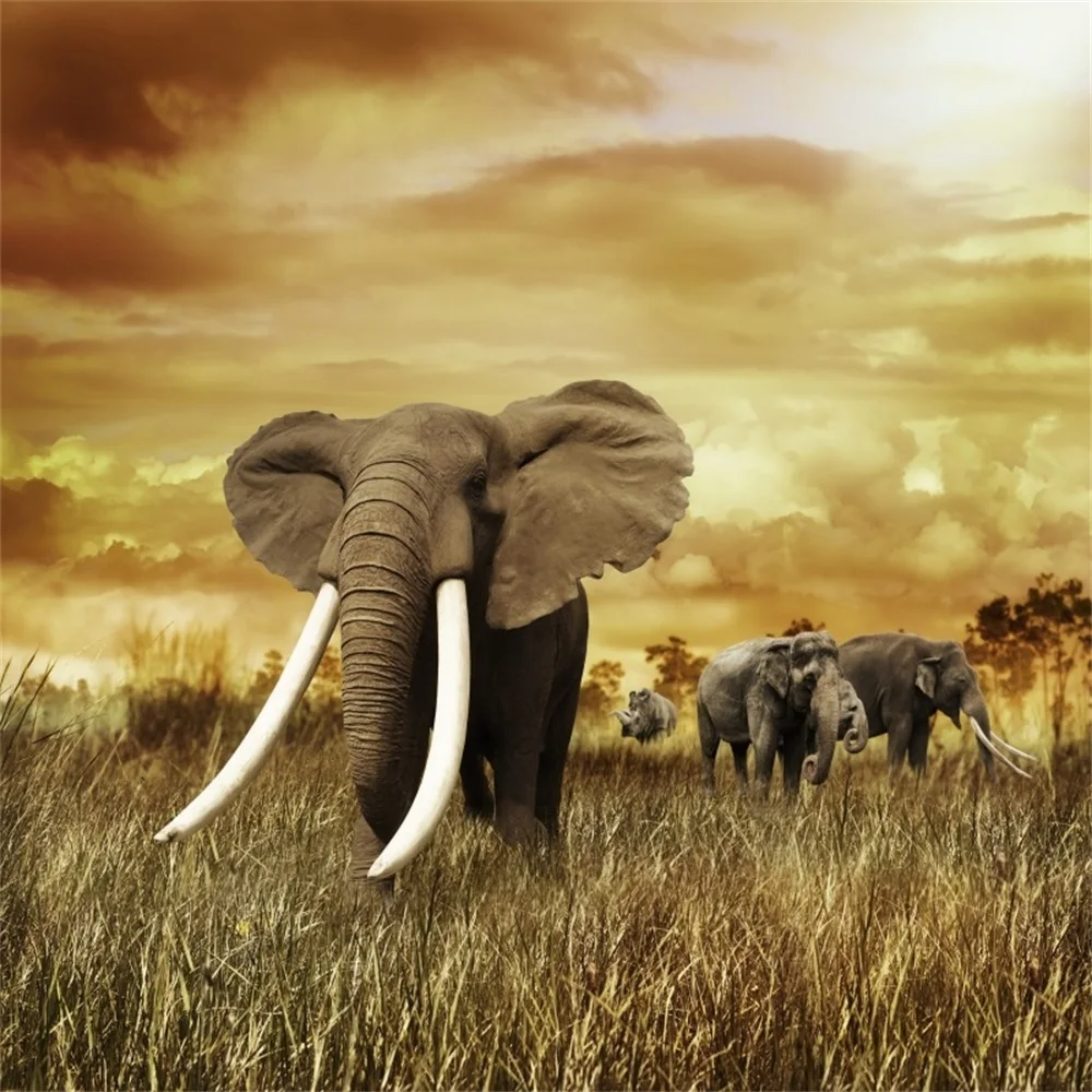 Фоны для фотосъемки Laeacco Grassland Elephant дикие натуральные детские фотостудии |