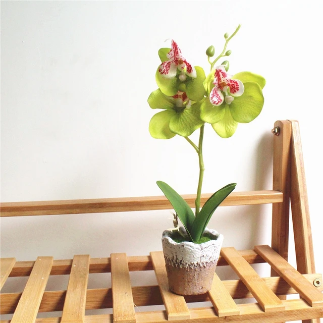 Artificial Simulation Flower Butterfly Orchid Bonsai Fake Plants Cement Pot Artificial Simulation Flower Butterfly Orchid Bonsai Fake Plants Cement Pot