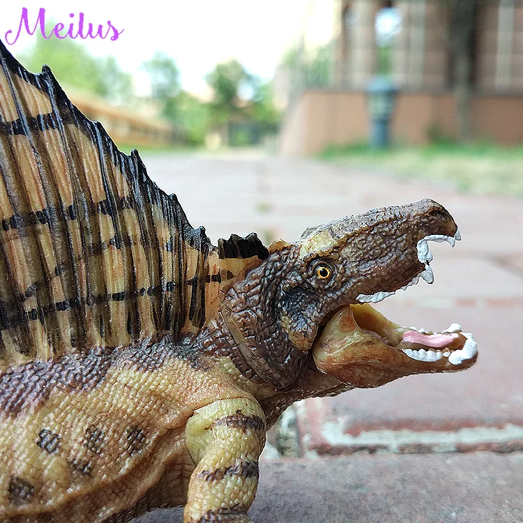 

Dimetrodon Model Long Spinosaurus Model PVC Dinosaur Toy Model Teaching Model Action Figures Boys Gift Classic Toys for Children