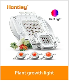 Hontiey светодиодный COB теплый белый 220V 110V умная ИС(интеграционная схема) нет необходимости в драйвере, 20 Вт, 30 Вт, 50 Вт, ручная сборка на открытом воздухе роста рассады растений освещение