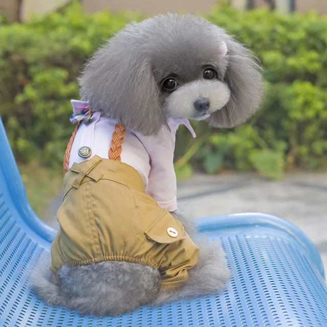 Cool Dog Clothes Bow Dog Jumpsuit Romper Spring Pet Coat Jacket Wedding Pet Costume Chihuahua