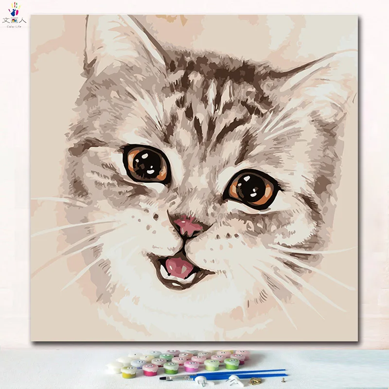 Diy цвета краски по номерам животные Ragdoll cut Кот с наборами рисунки номеру на холсте