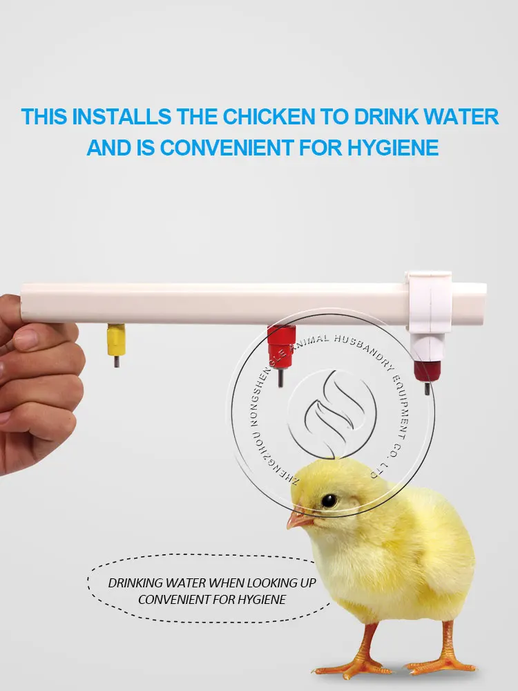 chicken-nipple-waterer (4)