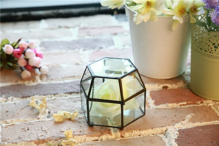  Glass Terrariums 4
