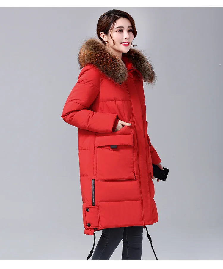  2019 Winter New Down Jacket Brand Women's Winter Jackets Big Fur Collar Ladies Down Jacket Thick Warm Winter Woman COats M-2XL  (27)