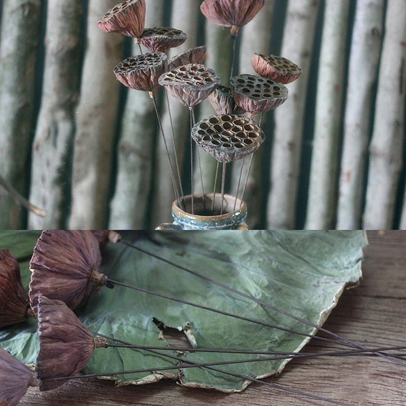 2 Pieces Lotus Pod With Iron Wire As Rod Handmade Natural Plant