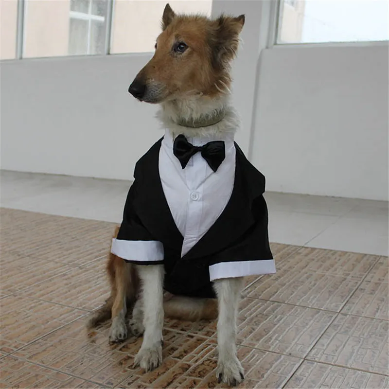 mariage Chemise formelle Tuxedo avec Black Tie Suit QiCheng&LYS Dog Vêtements pour animal domestique élégante Combinaison Nœud papillon Costume 