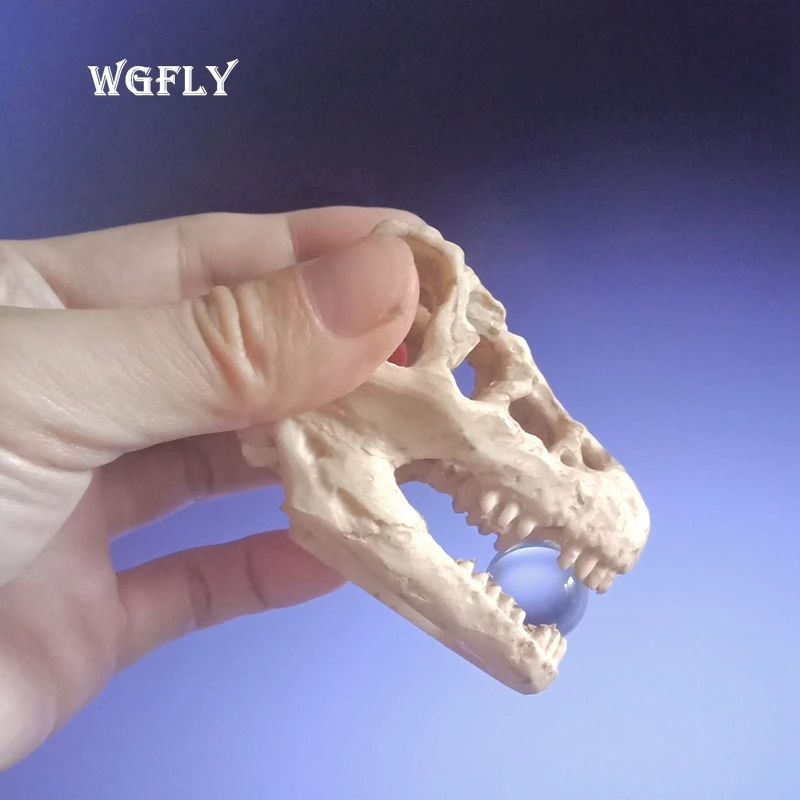NEW_W (2)