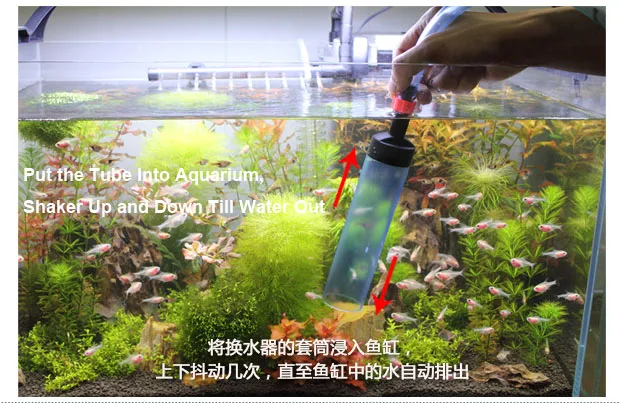 6666