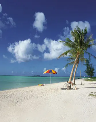 10x10ft Blue Sky Summer Sea Palm Tree Beach Umbrella Bicycle Custom 10x10ft Blue Sky Summer Sea Palm Tree Beach Umbrella Bicycle Custom Photo Studio Backdrops Backgrounds Digital Print Vinyl 3x3m In Background From Consumer