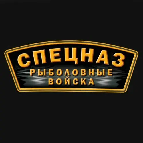 Хлопковая классическая мужская футболка с эмблемой спецназа|Футболки| |