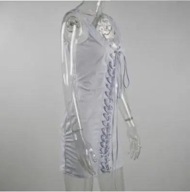 36020181219195948254