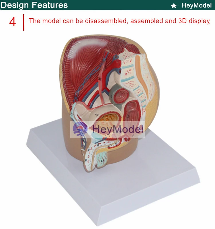 4 _