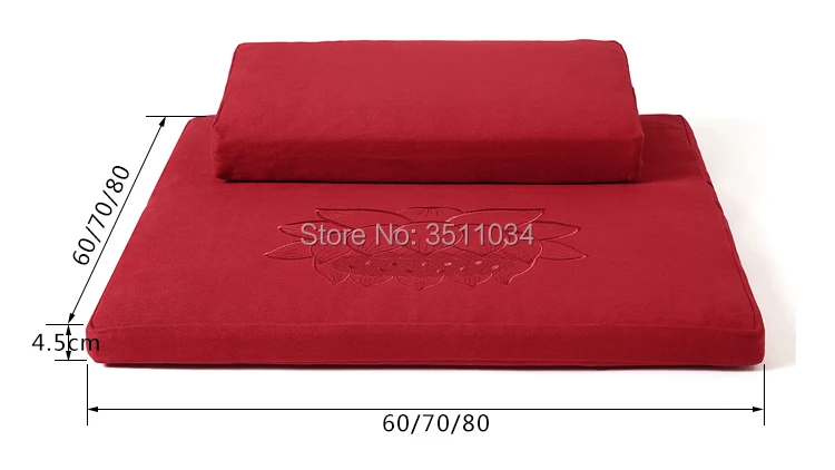 NCSS010 (10)