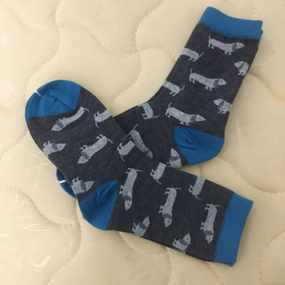 dachshund socks1