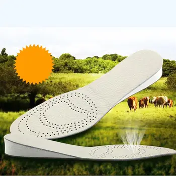 

3cm Hight Increase Insole Height Universal Full Length Hight Increase Heel Pad Insoles Shoes Insert Pads for Men Women