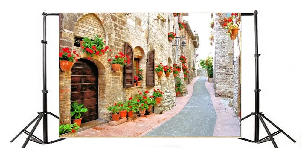 

Photography Backdrop European Building Blooming Flowers Street