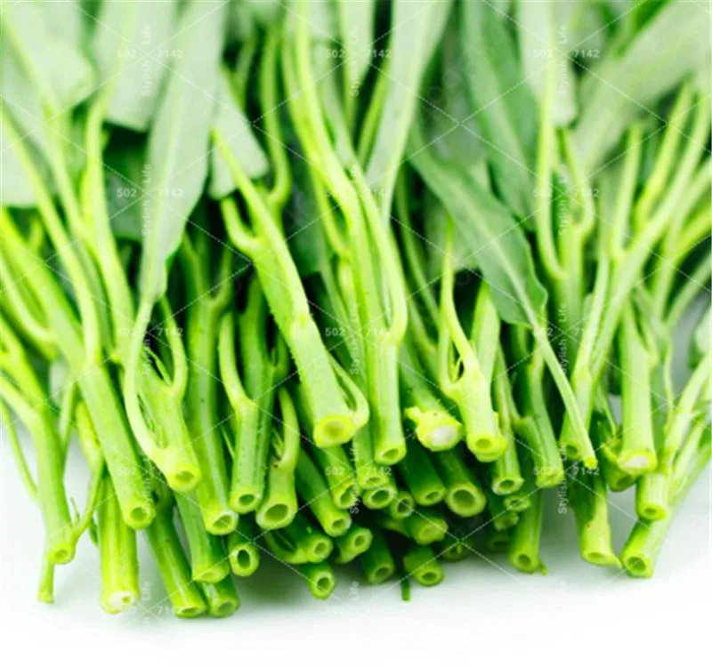 

100 pcs/bag Water Spinach bonsai,Nutrient-rich Green Vegetables Vegetables flores for Home Garden Planting Non-GMO Plant Pot