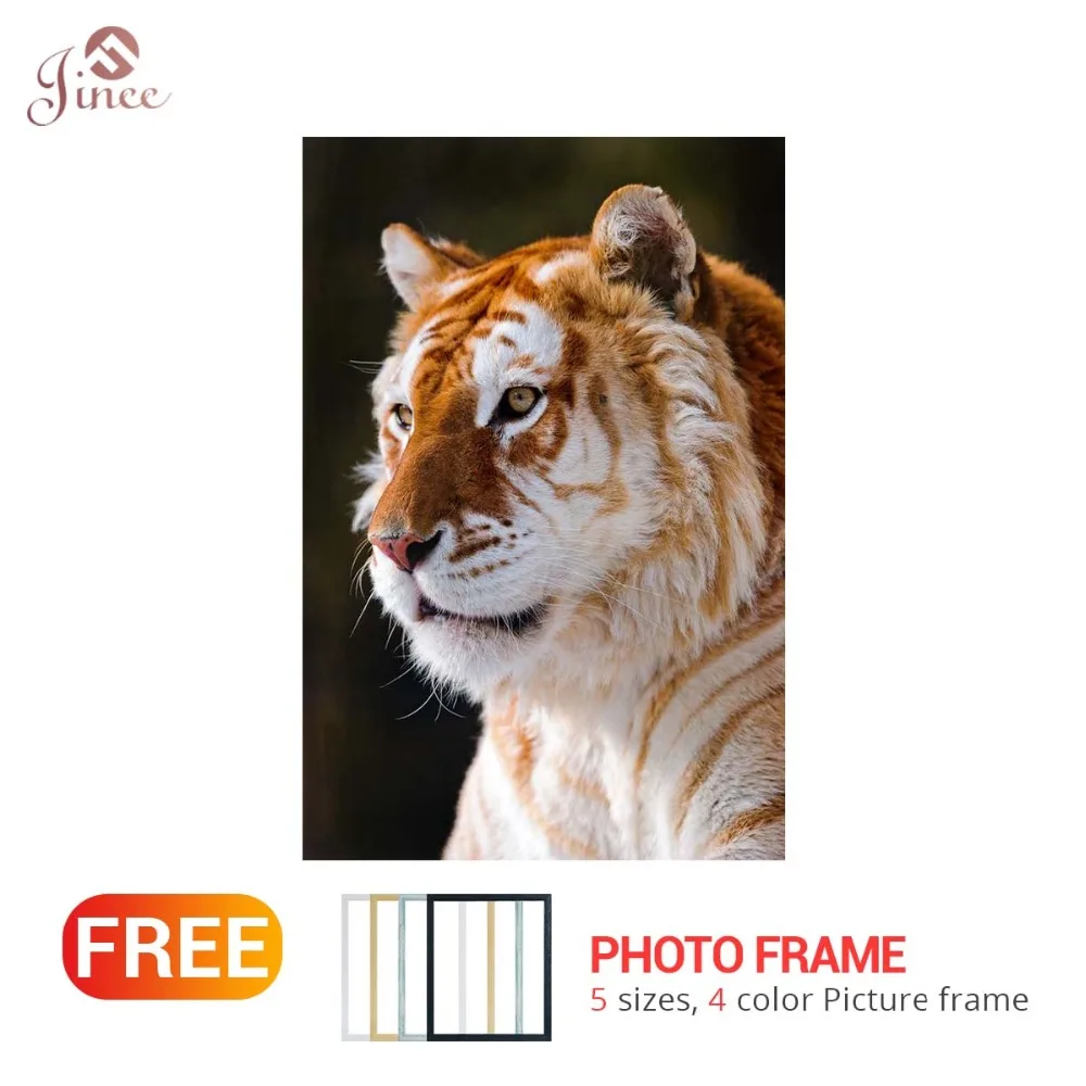 

5D diamond embroidery tiger diamant peinture diy mosaic daimond painting full animals 3d picture craft hobby gift