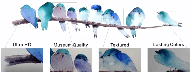 bird xijie