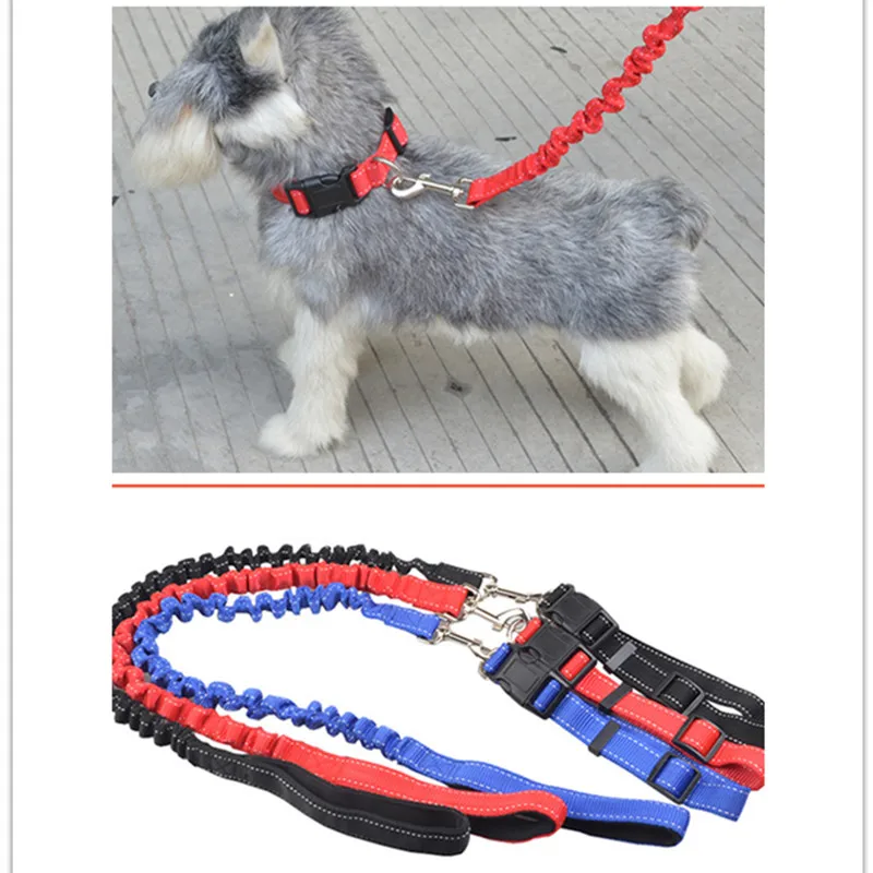Pet Dog collar leash set Nylon adjustable Elastic dogs collars lead
