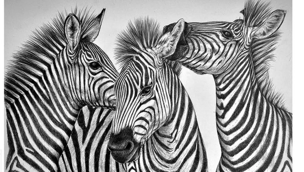 Custom Photo Wallpaper 3d Wall Murals Black And White And Abstract The Zebra Sofa Setting Wall Mural Wallpaper Home Decoration Custom Wall Paper Wall Paperwallpaper Home Decor Aliexpress