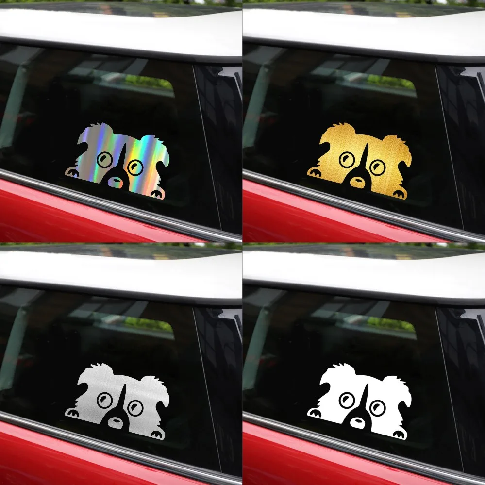 6-6