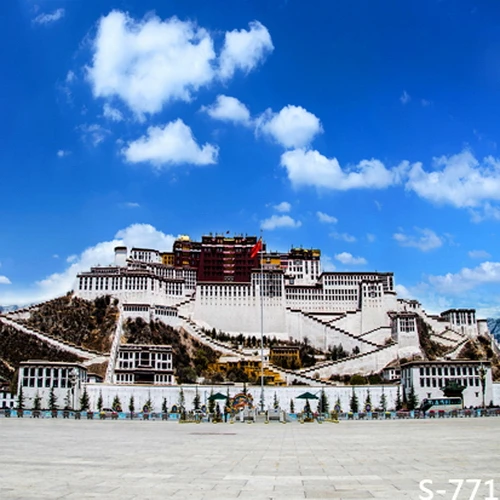 

10x10FT Clouds Blue Sky Potala Palace Lhasa Tibet Square Spots Custom Photography Studio Backdrop Background Vinyl 8x8 8x10