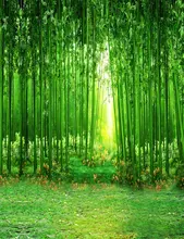 Tecido de vinil de Alta qualidade grama Fotografia Fundos Computador impresso foto cenário de bambu verde