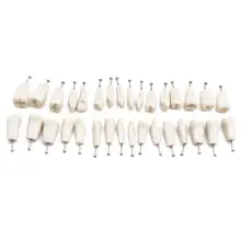 32 pces dentes caber adc modelo credenciado dentes dentários modelo de ensino dental modelo demonstração dente