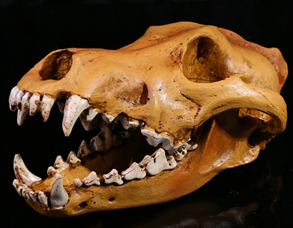 Resin Wolf Skull Replica Head Model Figurine Collection Home Bar Decor