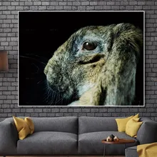 Animal Painting Rabbit Canvas Posters and Prints Peacock Picture Wall Art Frameless printing Animal Painting Rabbit Canvas Posters and Prints Peacock Picture Wall Art Frameless printing