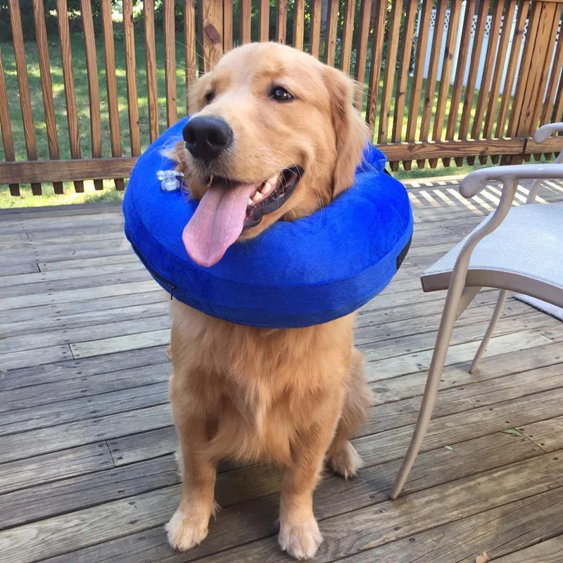 Kong Cloud Collar Inflatable Dog Cone Inflatable Dog Collar