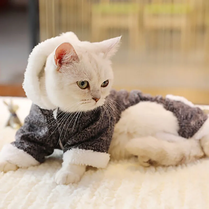 Зимний костюм Одежда для домашних животных котов теплое мягкое пальто уличная