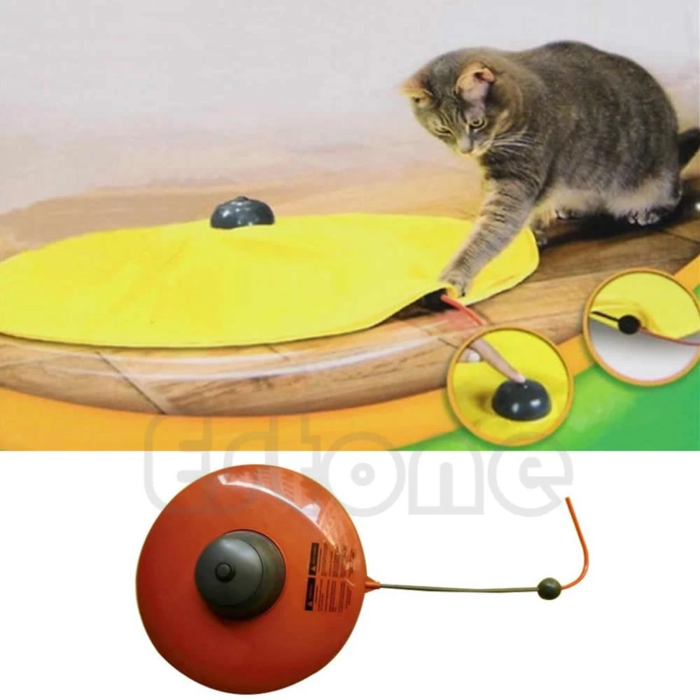 jeu interactif pour chat